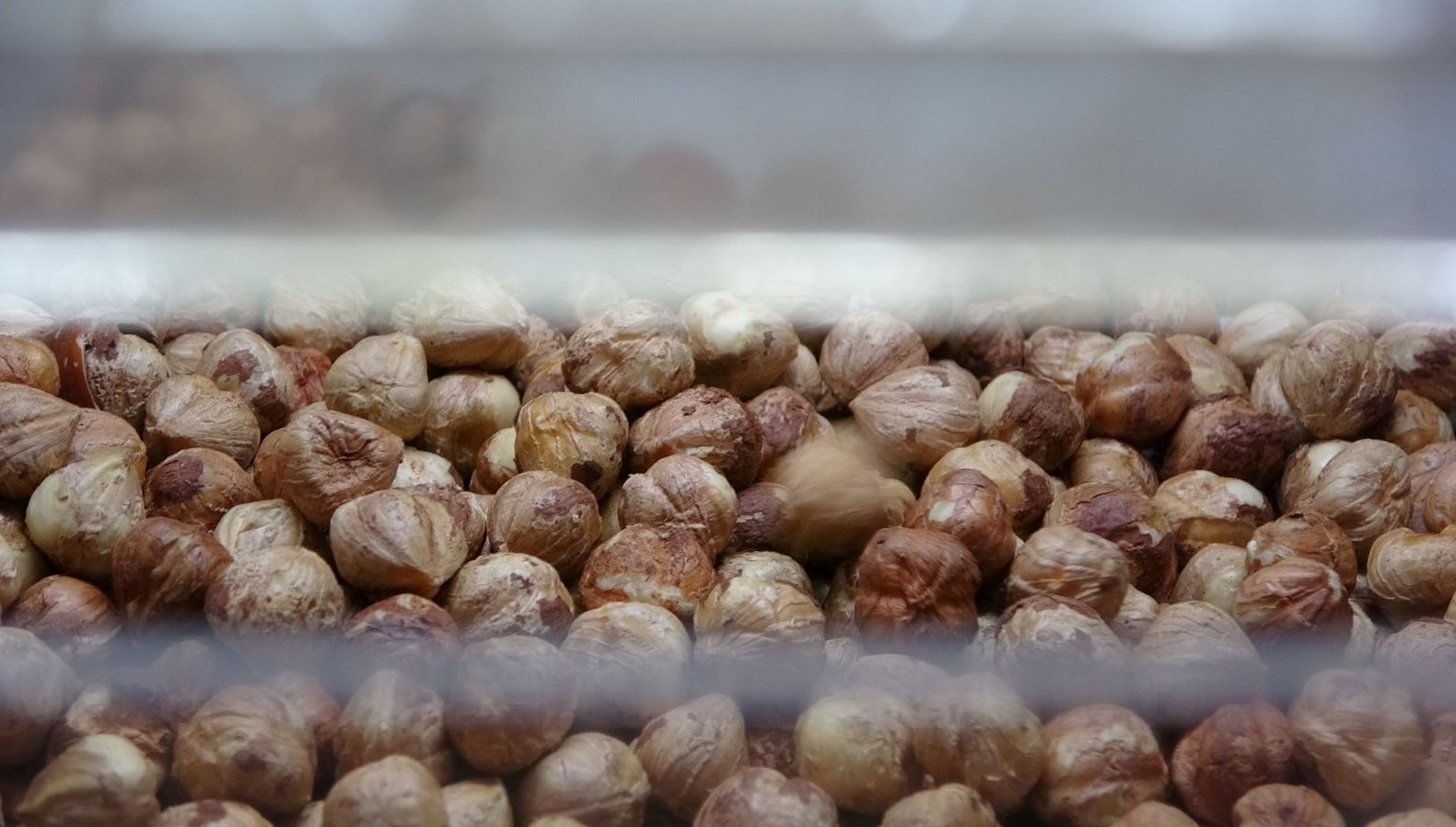 findik hasadi bitti sira kirma ve kavurma isinde 6Efytn3i