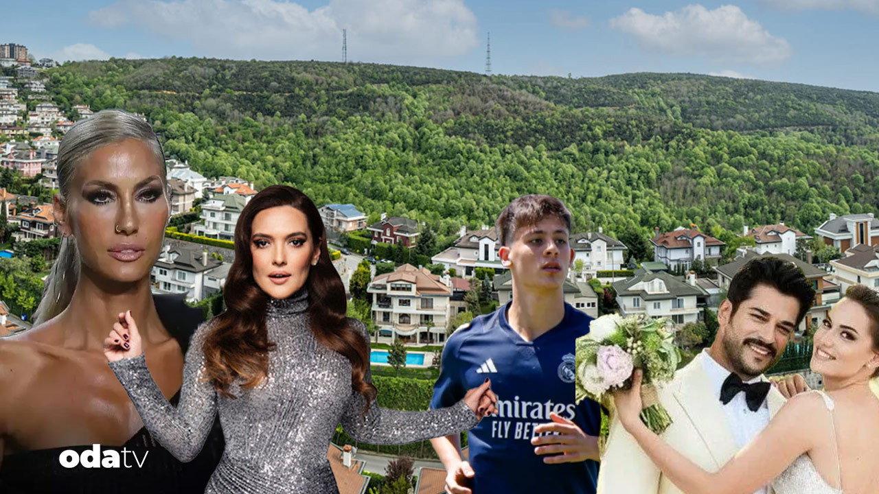 sosyetik sitede fare panigi acarkent alarma gecti K7wgV2GJ