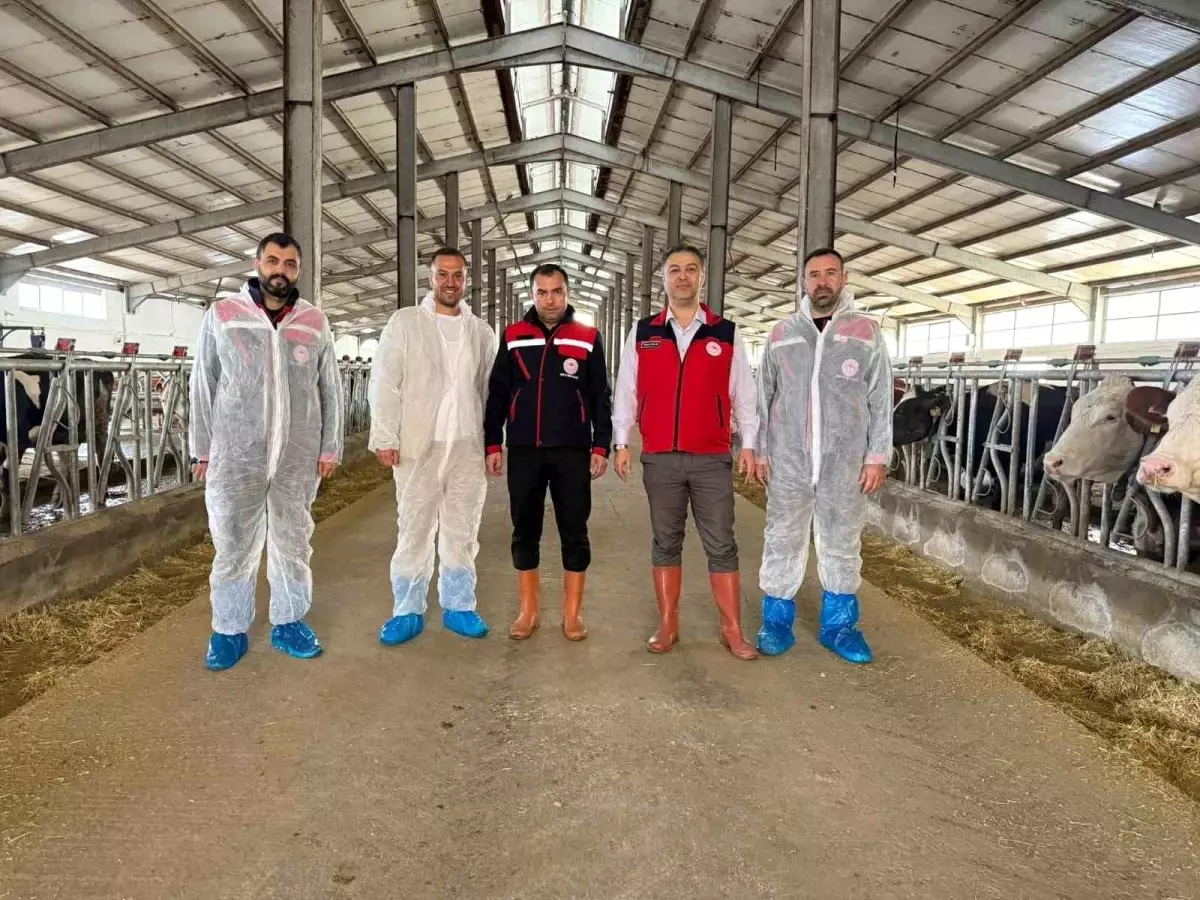 afyonkarahisarda yeni hastaliktan ari isletme sertifikasi MMknC5X6.jpg