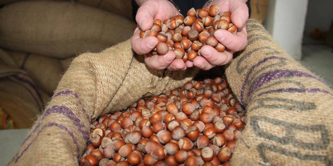 findiktan 1 milyar 610 milyon 163 bin gelir rNq7YwZY.jpg