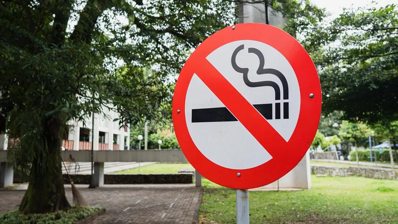 boluda cocuk parklarinda sigara icmek yasaklanacak VFLuZWwB.jpg