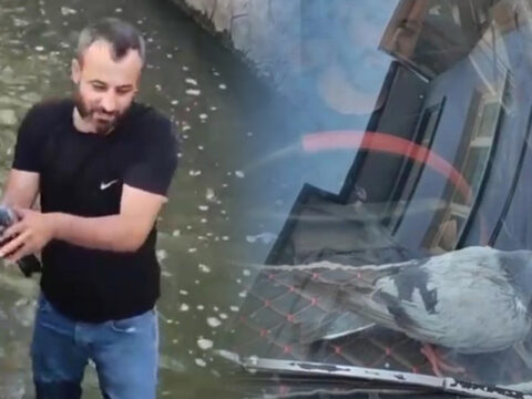Su kanalindan kurtardi ismini boncuk koydu BdpcZHm4